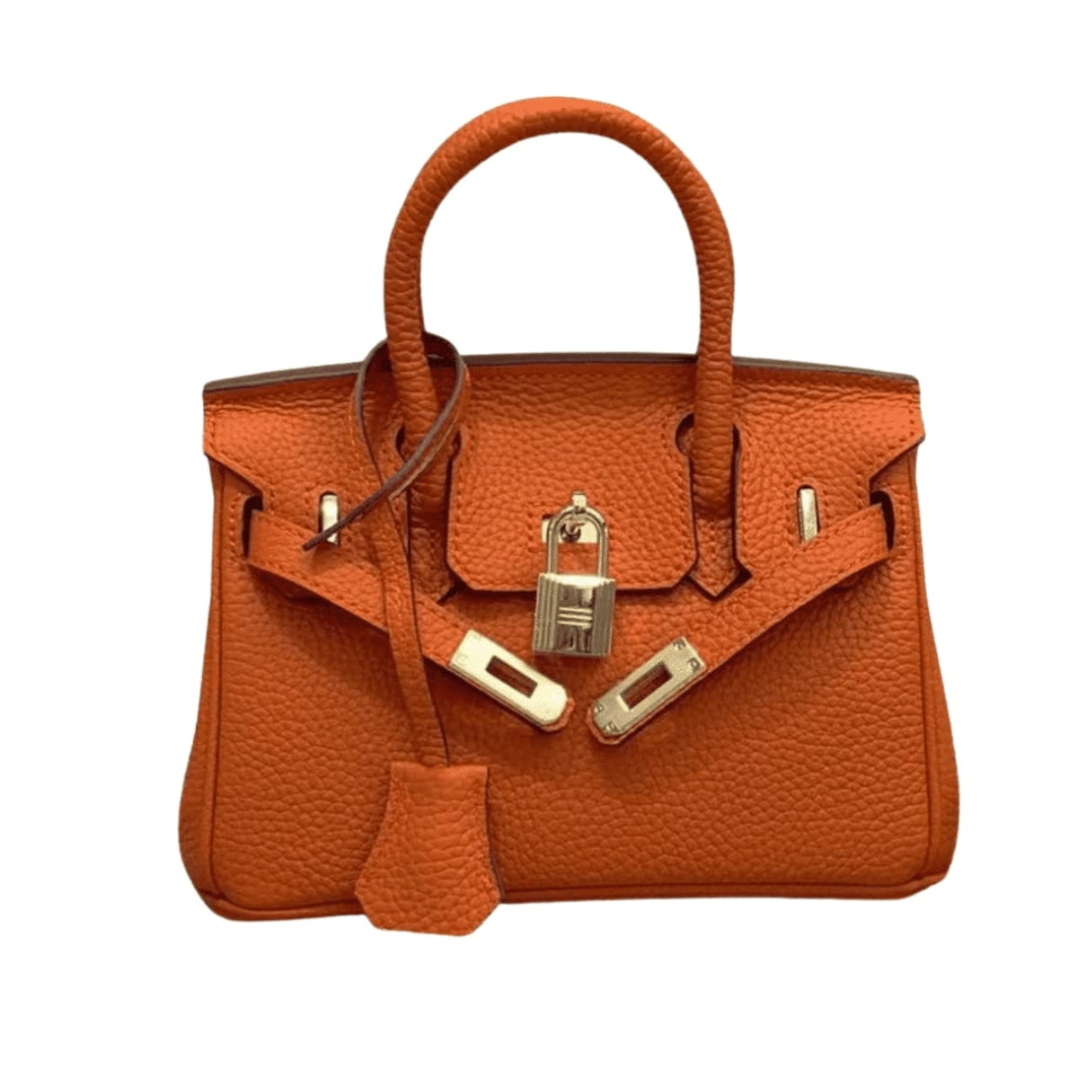 Birkin Mini Epsom Gold Hardware Handbag Orange 20Cm Birkin Bag