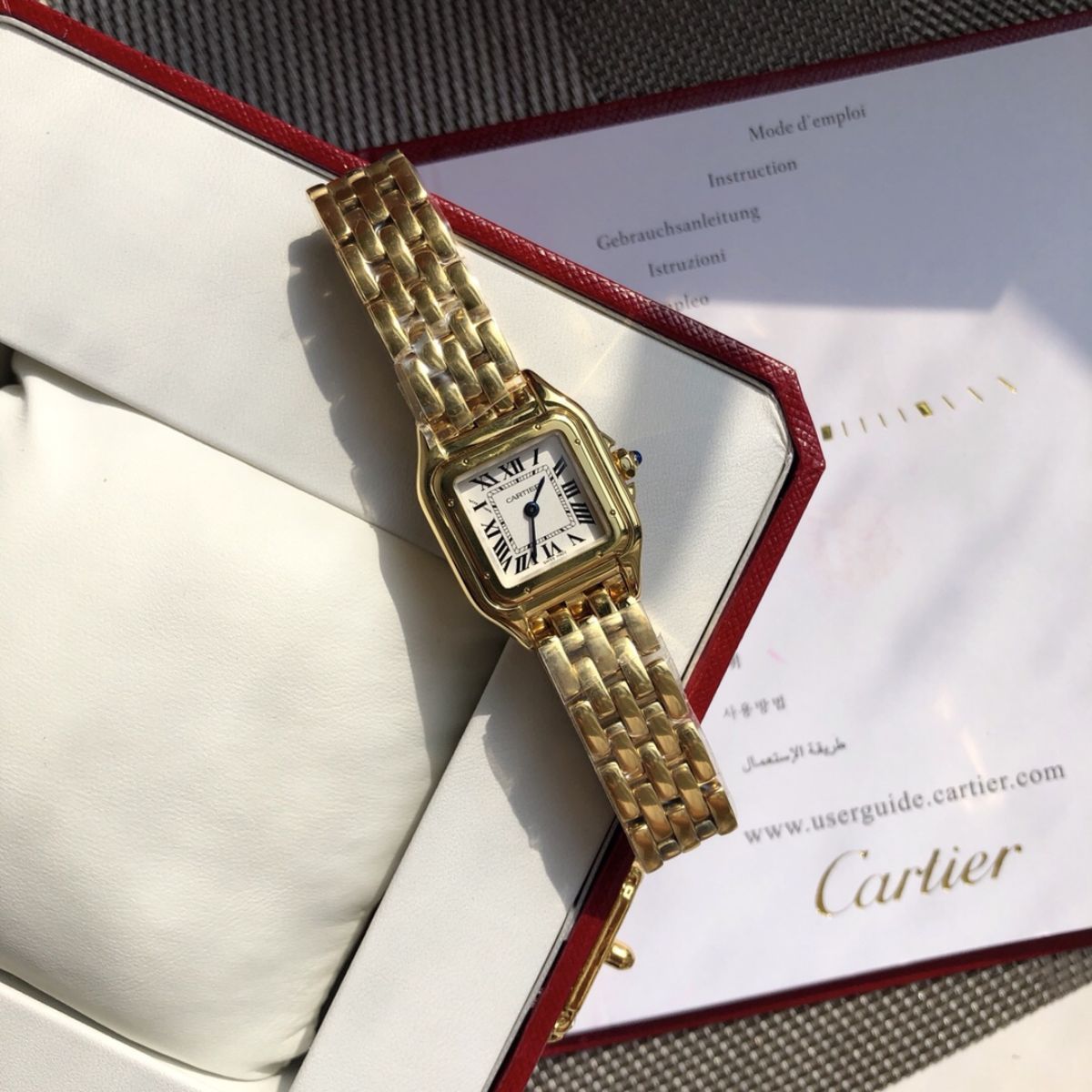 Parisian Panthère de Parisian watch 22 x 30 mm 5067