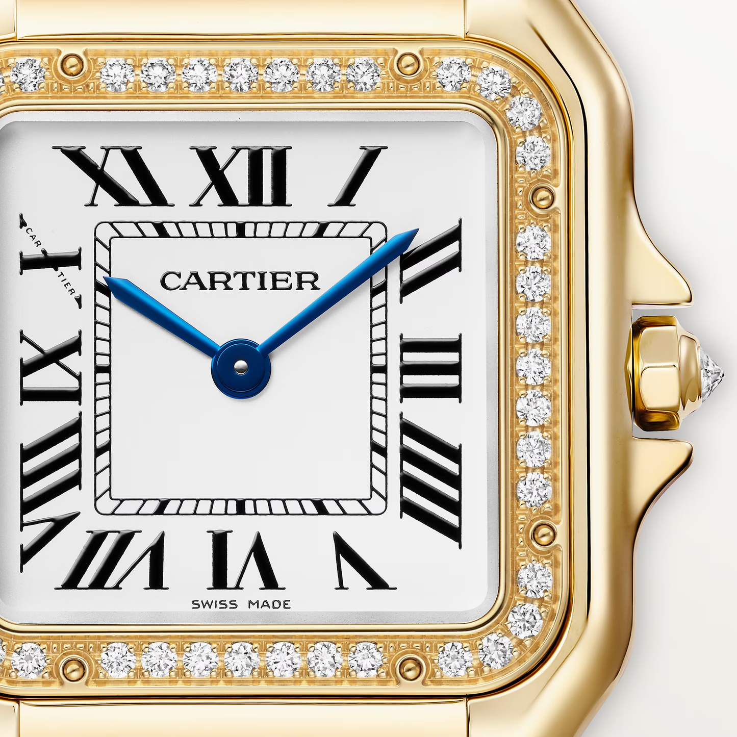 Panthère de watch