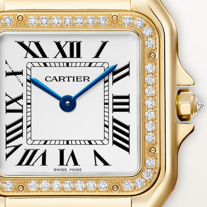 Panthère de watch