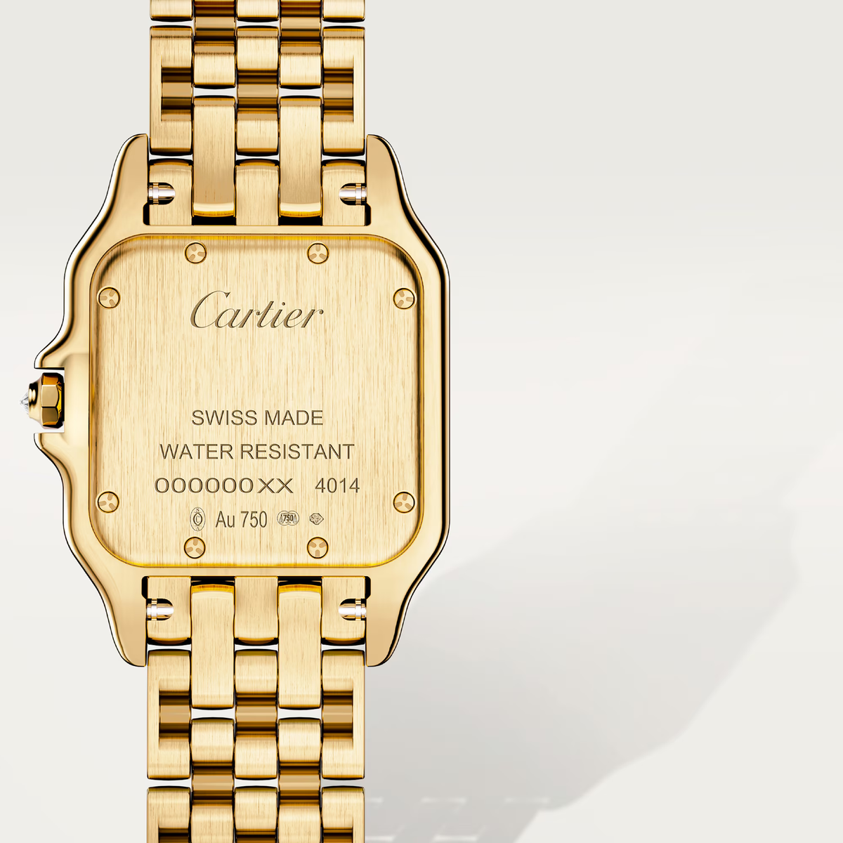 Panthère de watch