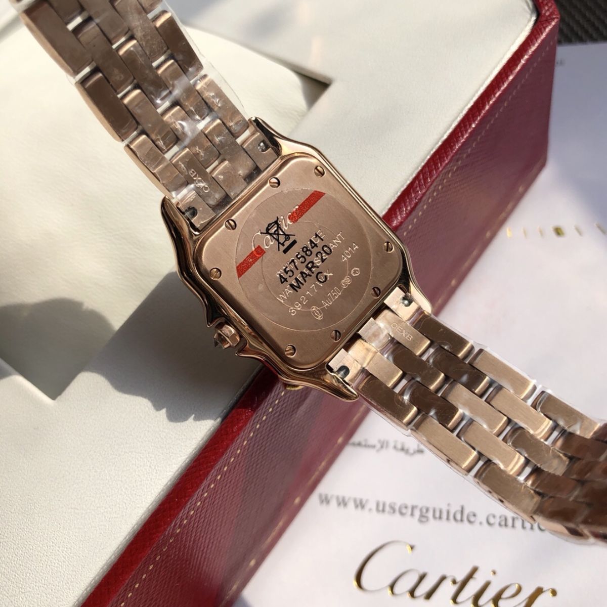 Parisian Panthère de Parisian watch 22 x 30 mm 3641