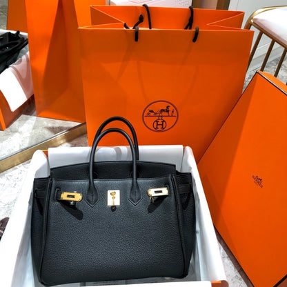 Birkin B25 Togo Leather Gold-Tone Hardware Handbag Black 25cm Birkin Bag