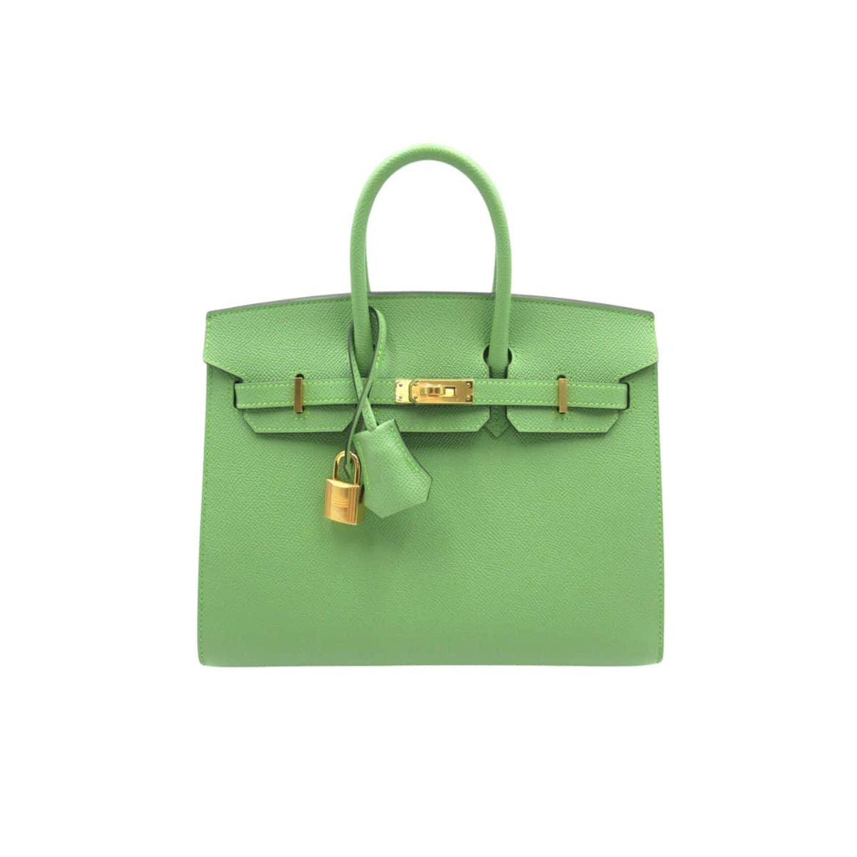 Birkin B25 Togo Leather Gold-Tone Hardware Handbag Grenat Green 20cm Birkin Bag